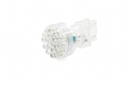 3157-24LED